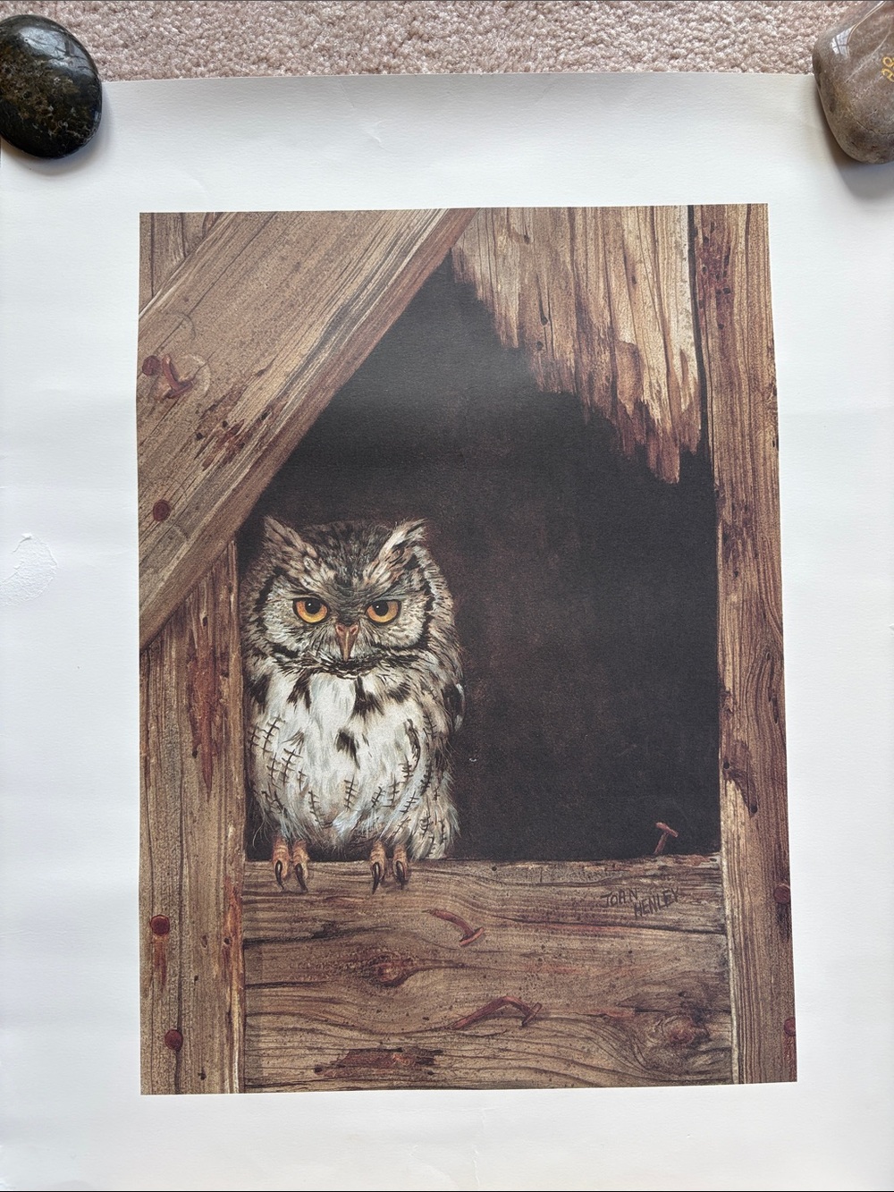 Rustic Owl Print poster- Brown and Cream Home Art